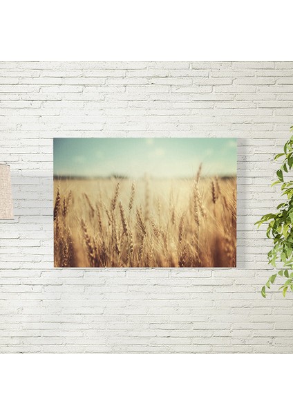 Buğday Tarlası ve Gün Doğumu Posteri 35X50 cm