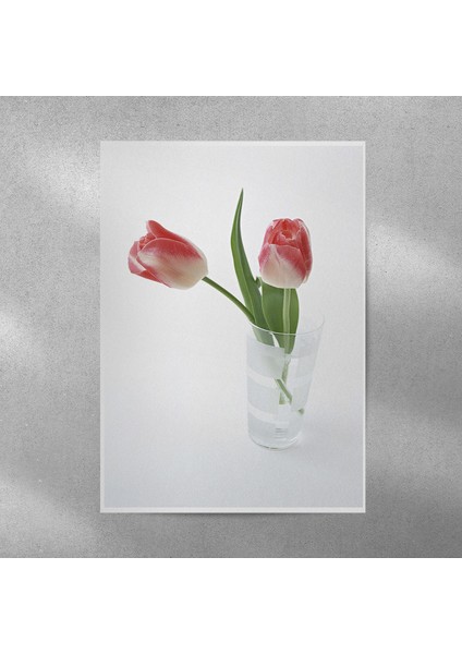 Lale Posteri 35X50 cm