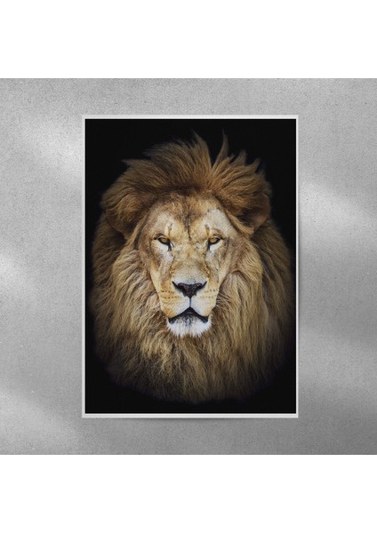 Aslan Posteri 35X50 cm