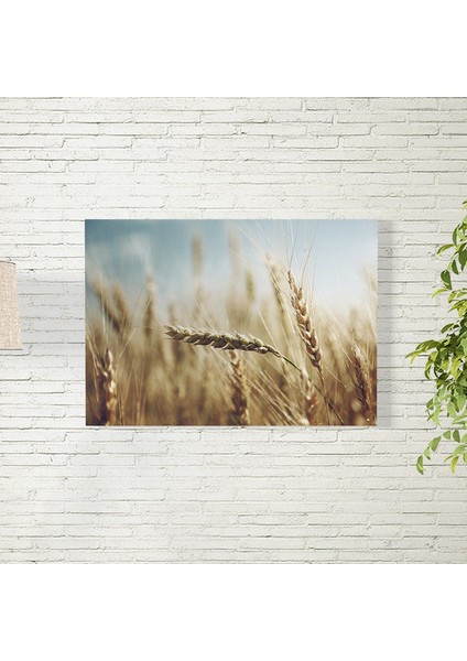 Buğday Tarlası Posteri 50X70 cm