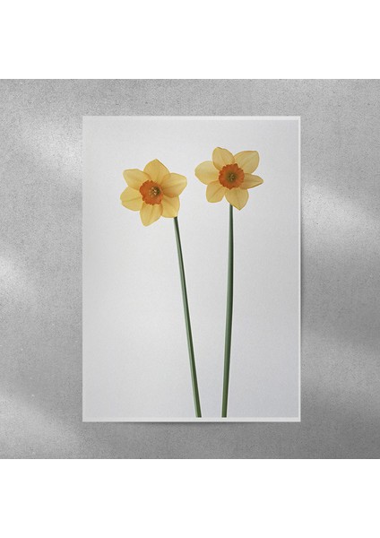 Fulya Posteri 35X50 cm
