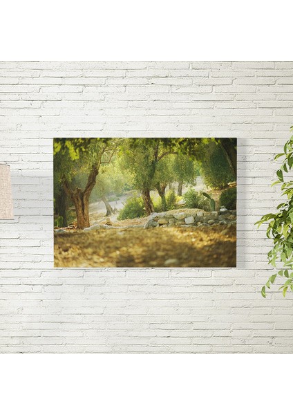 Orman Posteri 35X50 cm