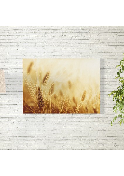 Buğday Tarlası Posteri 35X50 cm