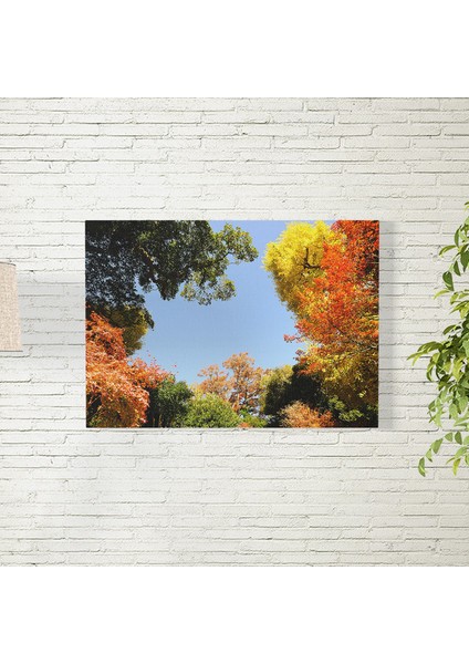Renkli Ağaçlar Posteri 50X70 cm