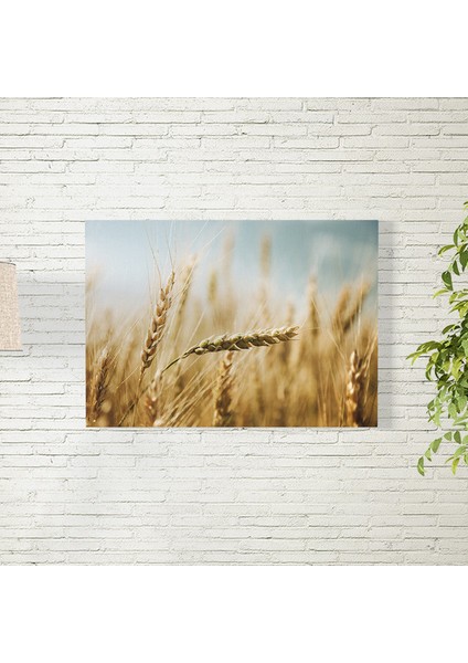 Buğdaylar Posteri 35X50 cm