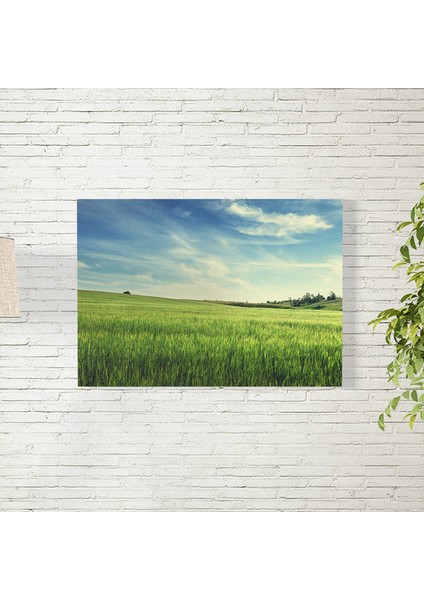 Yeşil Buğday Tarlası Posteri 35X50 cm