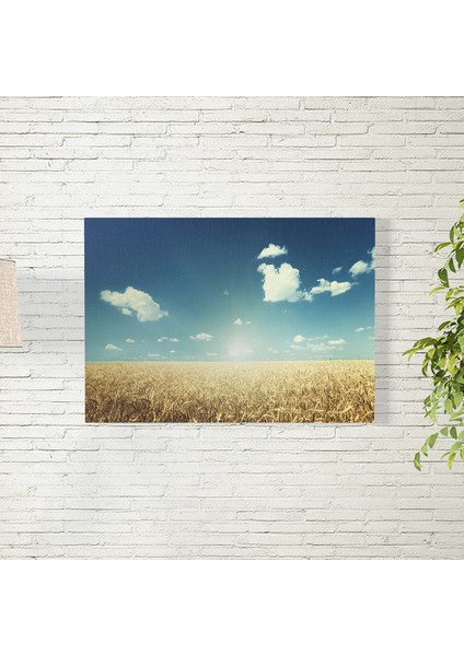 Buğday Tarlası ve Gökyüzü Posteri 35X50 cm