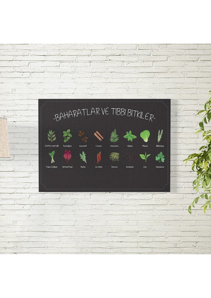 Baharatlar ve Tıbbı Bitkiler Posteri 50X70 cm