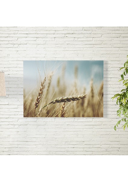 Buğday Tarlası Posteri 35X50 cm