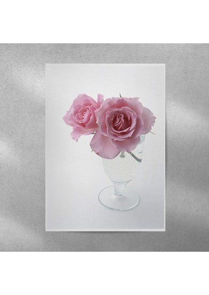 Pembe Gül Posteri 50X70 cm
