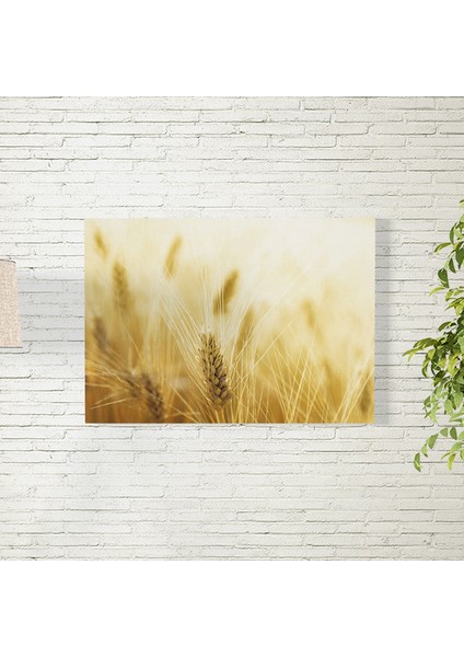 Buğday Tarlası Posteri 50X70 cm