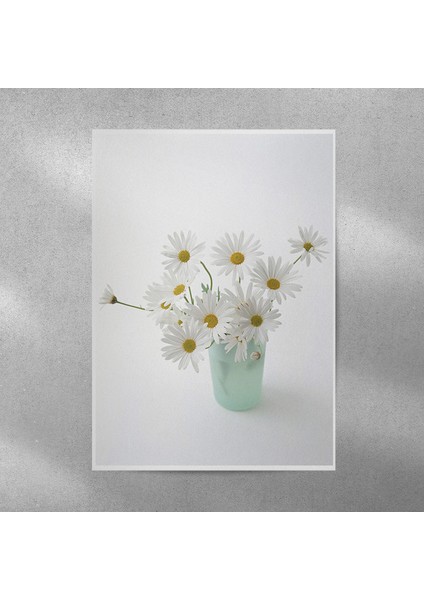 Beyaz Alman Papatyası Posteri 35X50 cm