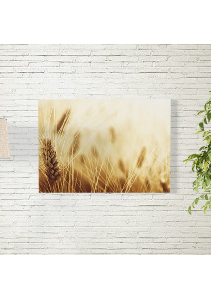 Buğday Tarlası Posteri 50X70 cm