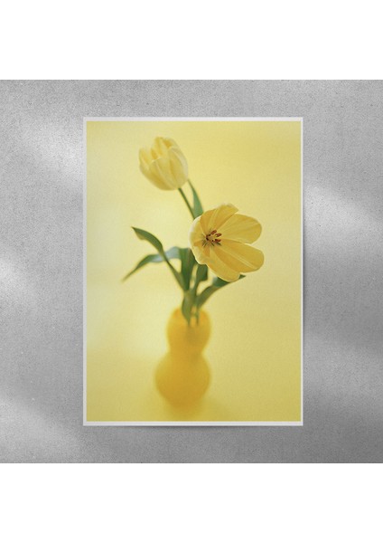 Sarı Lale Posteri 50X70 cm