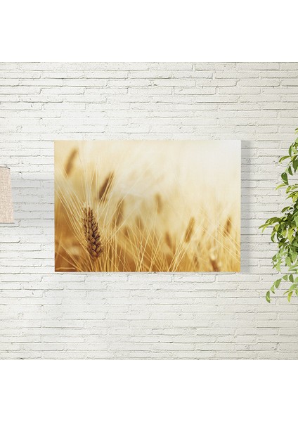 Buğday Tarlası Posteri 50X70 cm
