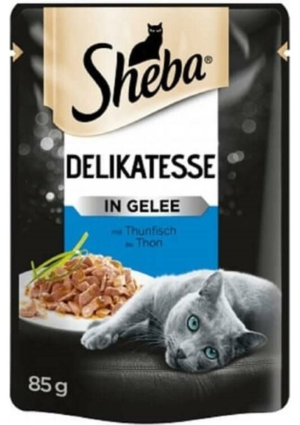 Ton Balıklı Jöleli Pouch Yetişkin Konserve Kedi Maması 85GR