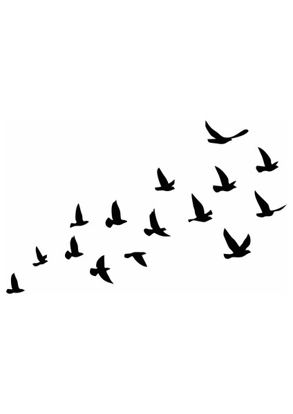 Kuşlar Araba Sticker Siyah 18X11 cm