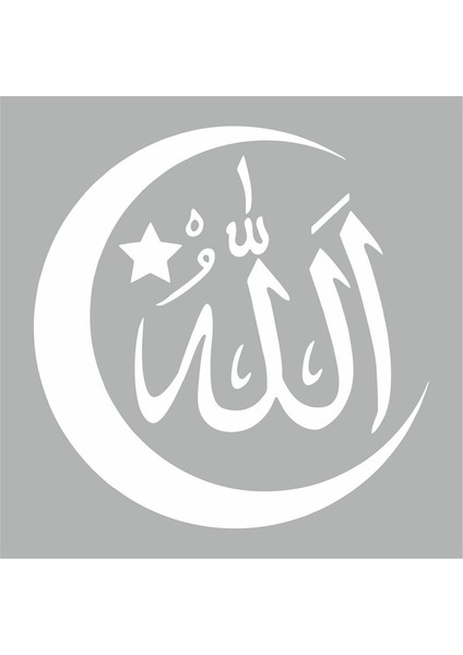 Türk Bayrağı ve Allah Sticker Beyaz 20X20 cm