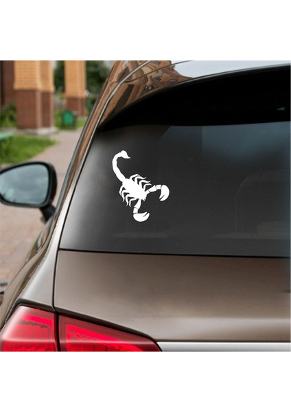 Akrep Araba Sticker Beyaz 20X24 cm fiyatları
