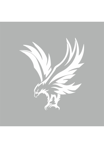 Kartal Araba Sticker Beyaz 19X21 cm