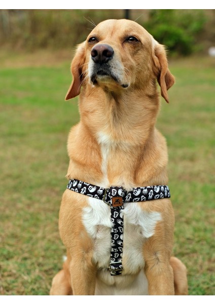 Boo Köpek Göğüs Tasması