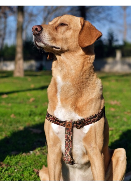 Camouflage Köpek Göğüs Tasması