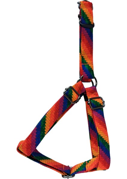 Rainbow Köpek Göğüs Tasması