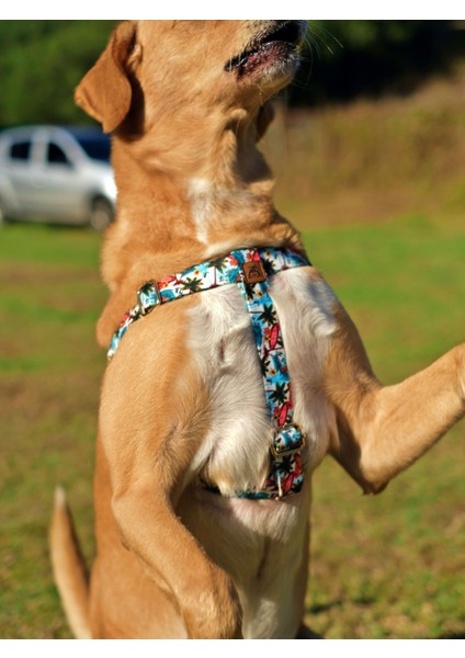 Palm Beach Köpek Göğüs Tasması