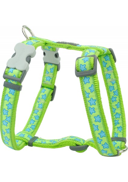 Reddingo Lime Üzerine Turkuaz Yıldızlı Köpek Göğüs Tasması M 20 mm