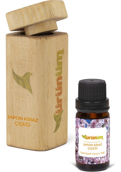 Japon Kiraz Çiçeği 10ML