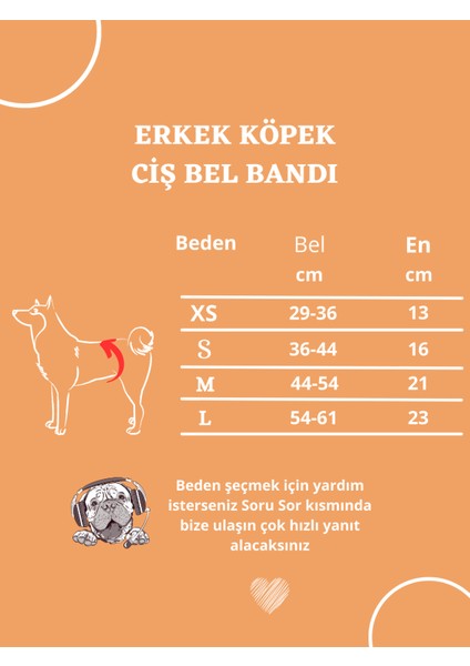 Erkek Köpek Ciş Bel Bandı Külot Pedli Yıkanabilir