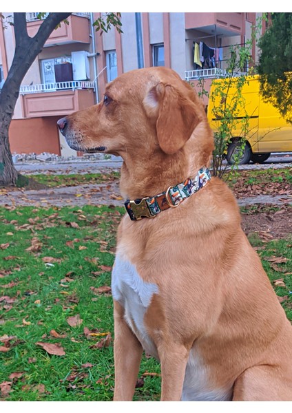 Toco Köpek Tasma Seti