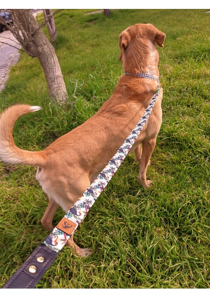 Toco Köpek Tasma Seti