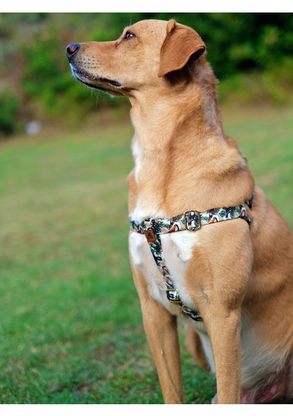 Toco Köpek Tasma Seti