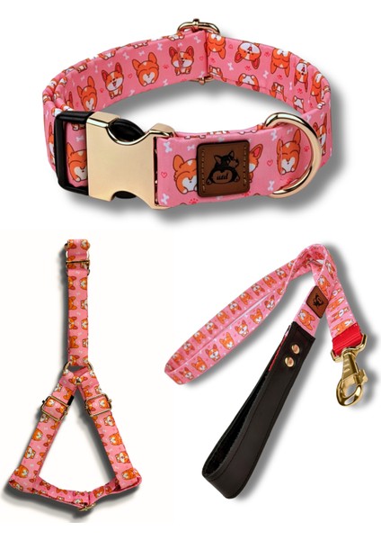 Corgi Köpek Tasma Seti