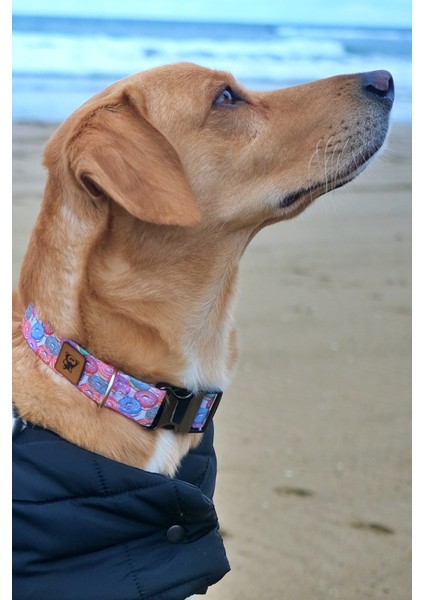 Donut Köpek Tasma Seti