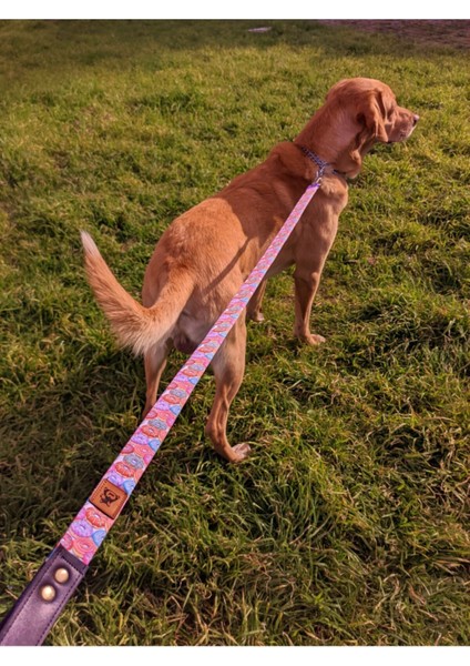 Donut Köpek Tasma Seti