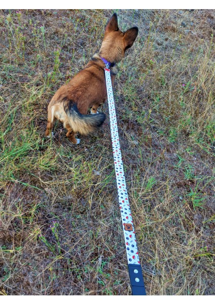 Party Köpek Tasma Seti modelleri