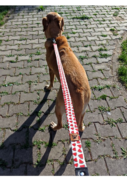 Watermelon Köpek Tasma Seti