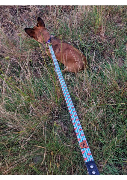 Giraffe Köpek Tasma Seti indirimleri