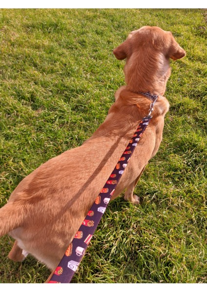 Fastfood Köpek Tasma Seti indirimleri