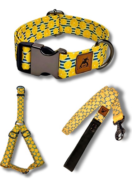 Lemona Köpek Tasma Seti