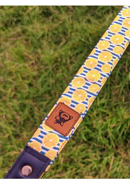 Lemona Köpek Tasma Seti fırsatları