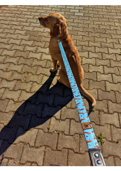 Tigerfly Köpek Tasma Seti