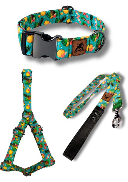 Pineapple Köpek Tasma Seti