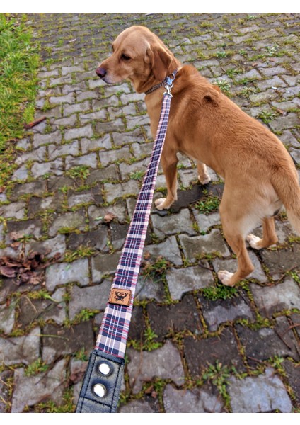 Classy Köpek Tasma Seti