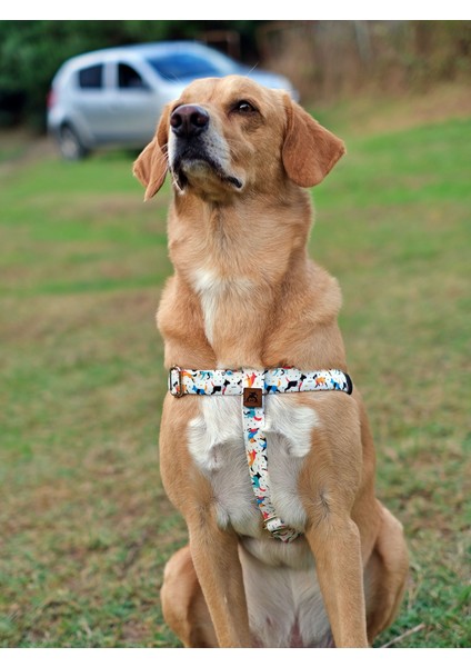 Active Köpek Tasma Seti modelleri