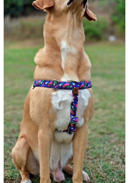 Flamingo Köpek Tasma Seti fiyatları