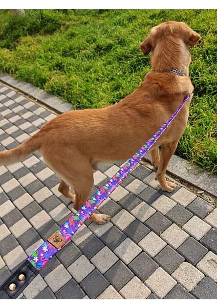 Flamingo Köpek Tasma Seti fırsatları