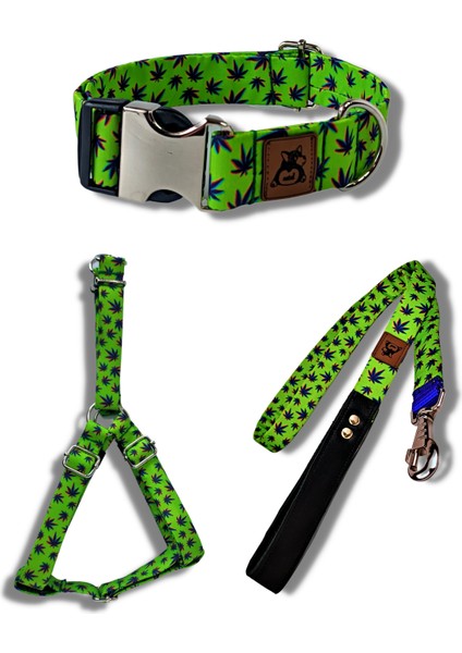 Leaves Köpek Tasma Seti